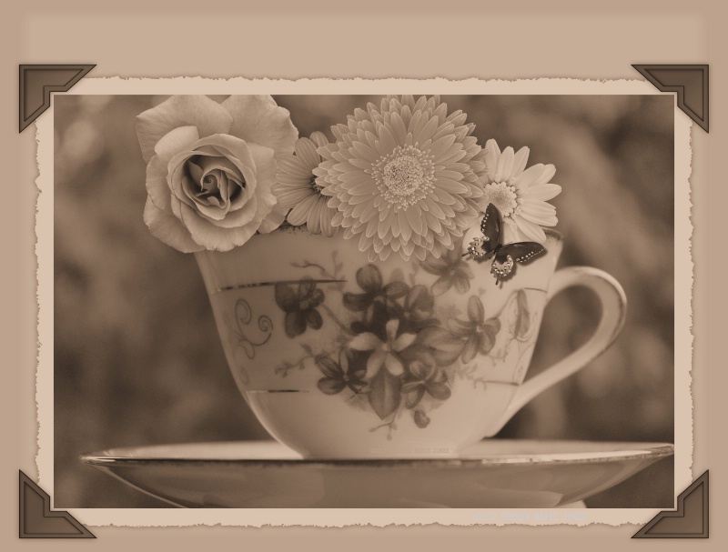 Granny's Teacup - ID: 12840710 © Theresa Marie Jones