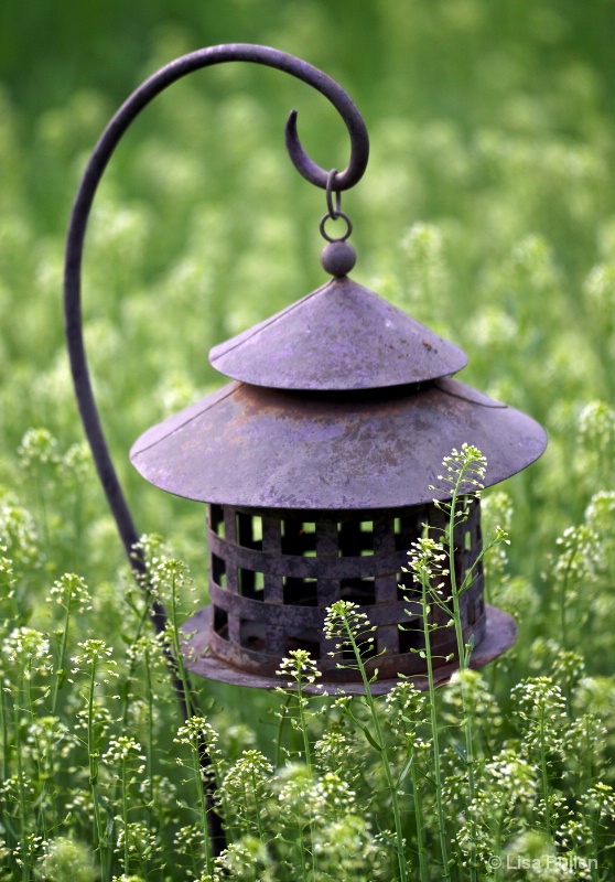 Lantern in the Greens