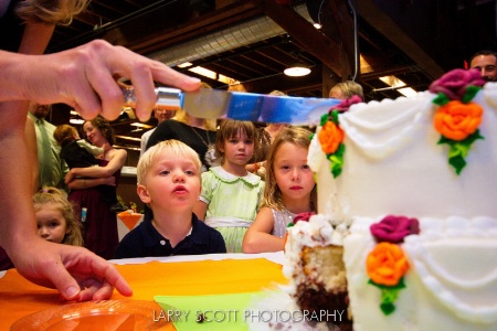 Cake Watchers