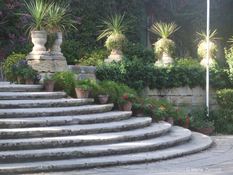 San Anton Garden Steps II