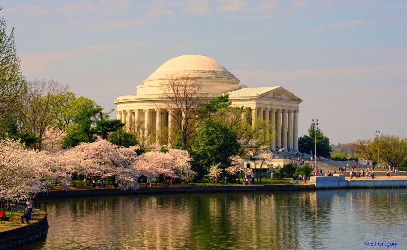 Spring at the Tidal Basin - ID: 12843764 © Eloise Bartell