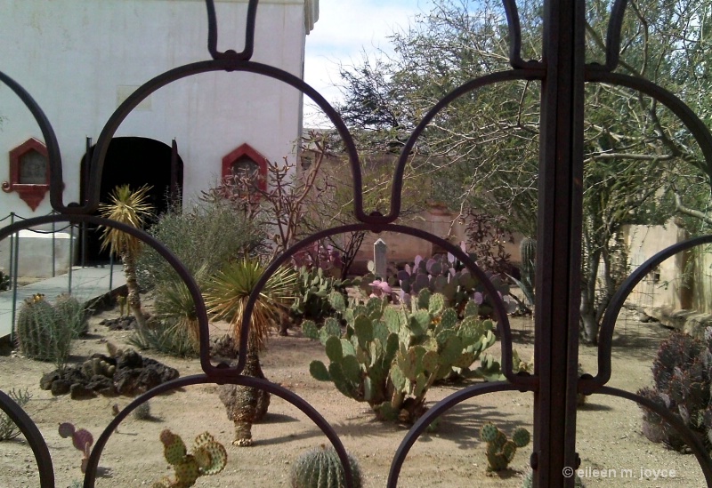 st. xavier cactus garden