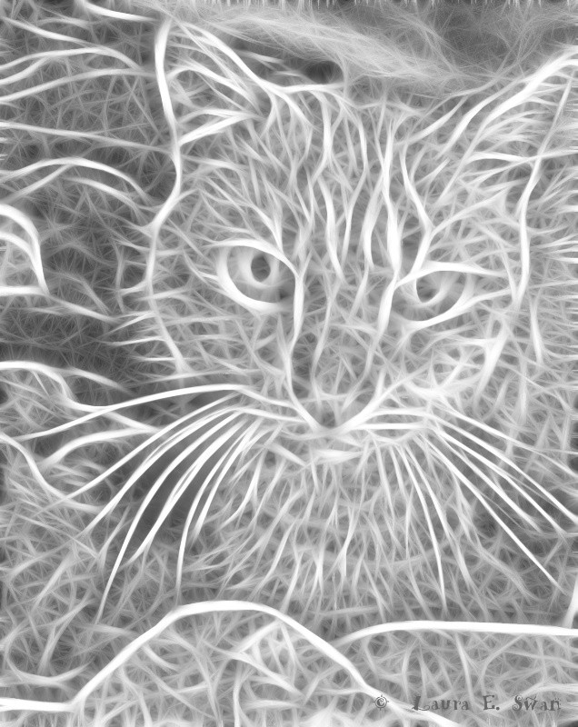 Fractalius Feline