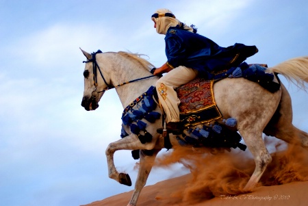 Arab Rider