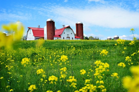 Spring time on the Farm