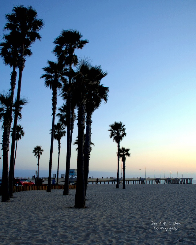 Venice Pier