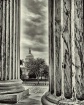 A Capitol View......