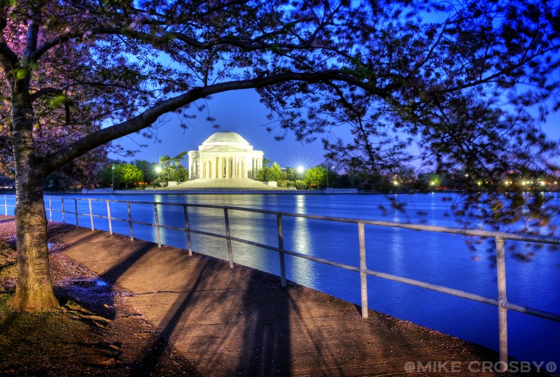 Jefferson Memorial thru the Cherry Blossoms