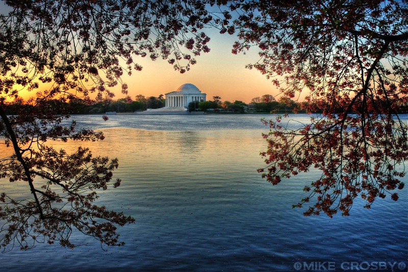 Jefferson Memorial thru the Cherry Blossoms