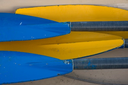 Blue and Gold Oars