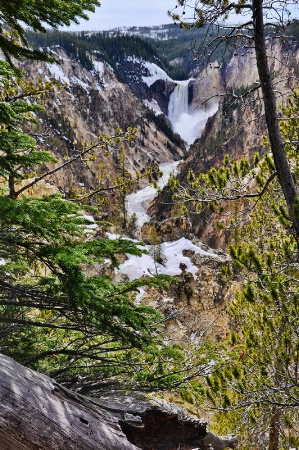 A View Of the Falls