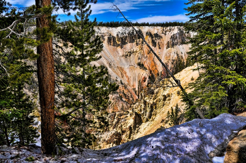 Along the Canyon