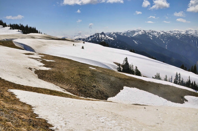 Hurricane Ridge