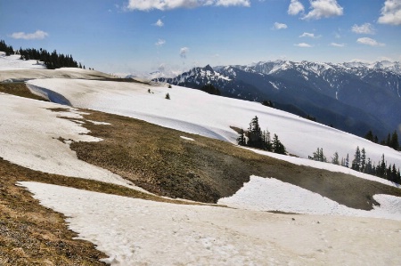 Hurricane Ridge