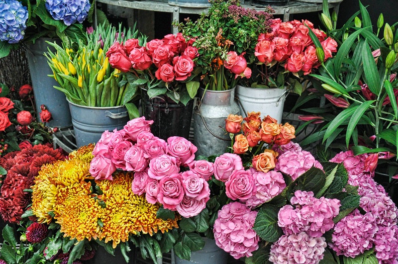 In a London Flower Shop