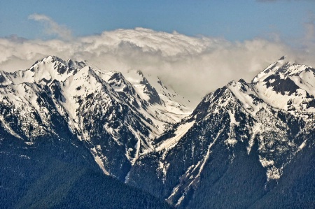 In the Cascades