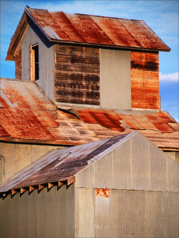 ~ ROOFLINES ~