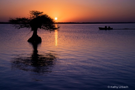 Sunrise- Blue Cypress Lake