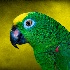 © Natasha Pliss PhotoID # 12864968: I am naturally green. No envy.