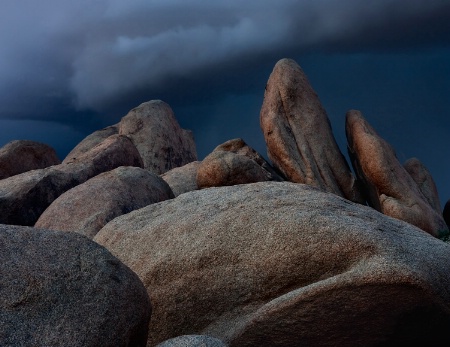 Joshua Tree NP