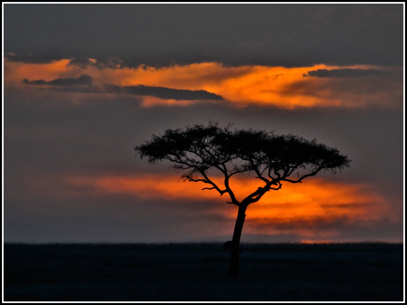 Sunset on the savanna