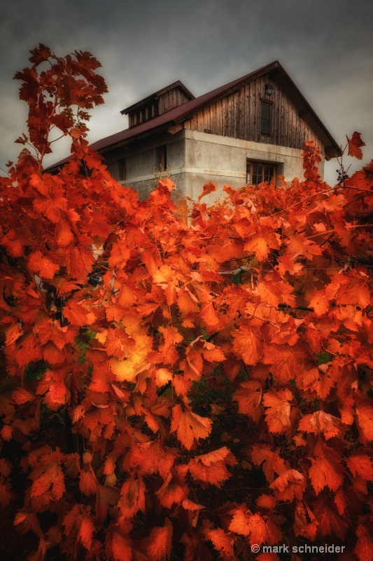 Amador Autumn - ID: 12866606 © Mark Schneider