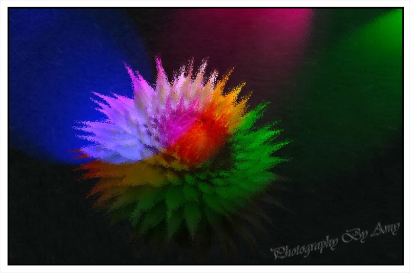 Reaching For The Lime Light - ID: 12866645 © Amy Wildeman