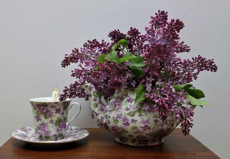 Lilac Tea - ID: 12866801 © Theresa Marie Jones