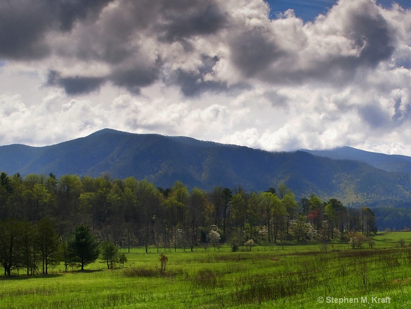 Cades Cove Spring