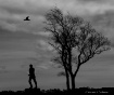 Chafee Monument -...