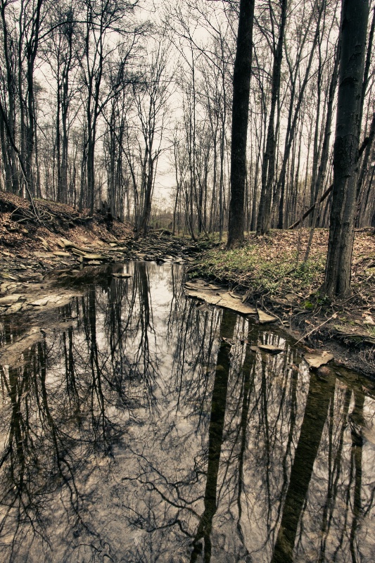 Quiet Stream