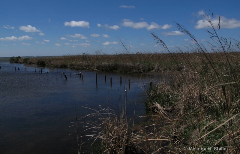 Wetlands