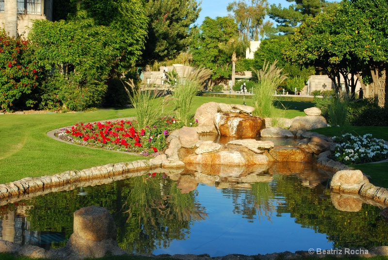 By the Pond