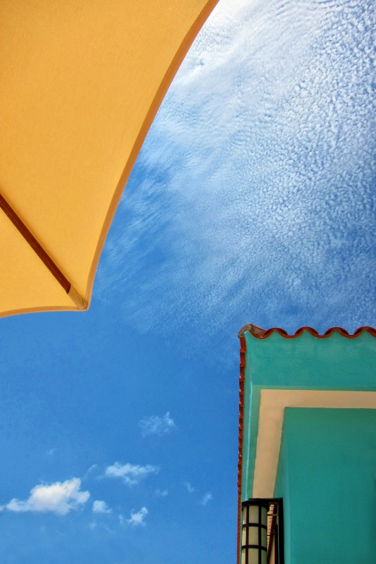 From Under the Umbrella
