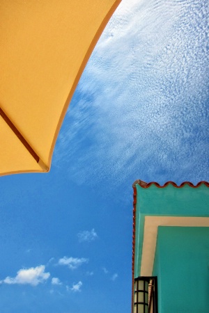 From Under the Umbrella