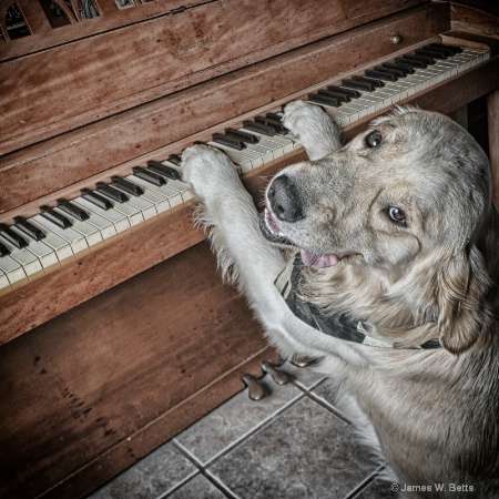 piano marley