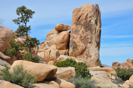 Joshua Tree National Park