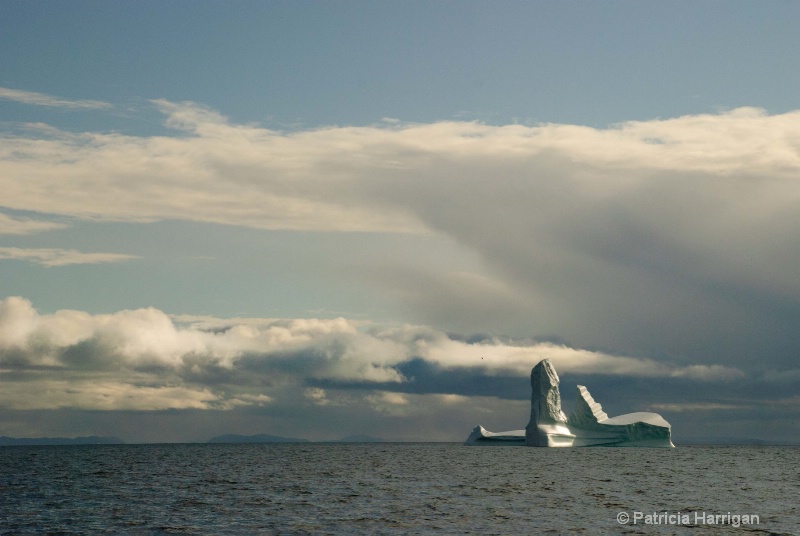 Icebergs disko bay 2011