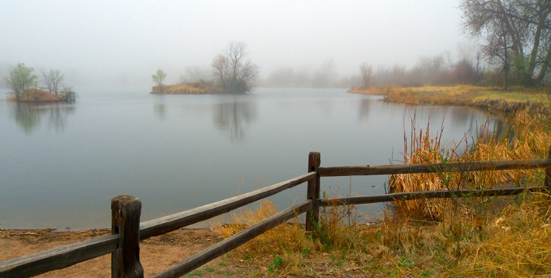 Foggy Pond 3 