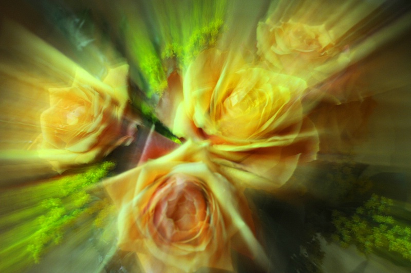 The beauty of roses - ID: 12901355 © Anna Laska