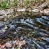 © Elliot Barnathan PhotoID# 12902661: The Wissahickon in Spring 4