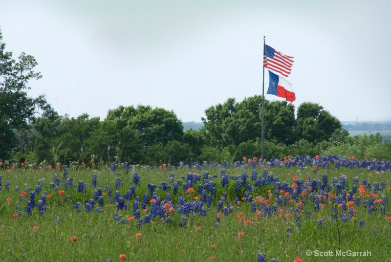 Texas in Spring