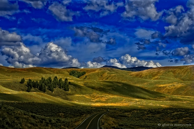 Hayden Valley, Yellowstone National Park, USA