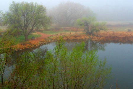 Foggy Pond High View