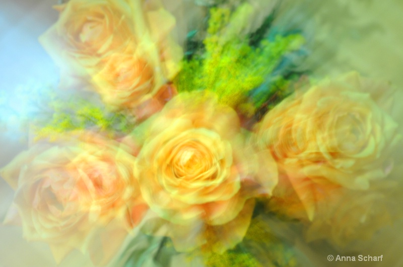 The beauty of roses 2 - ID: 12903829 © Anna Laska