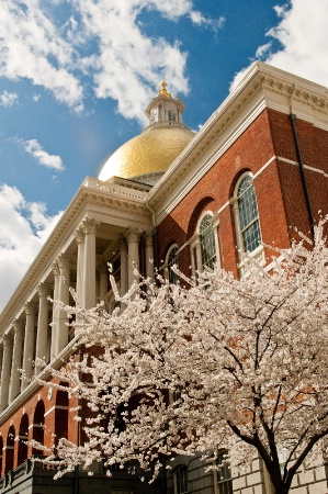 Boston Statehouse--Vertical