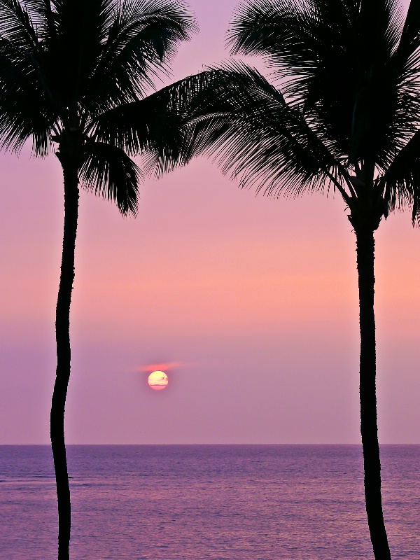 Watching the Sunset, Hand in Hand