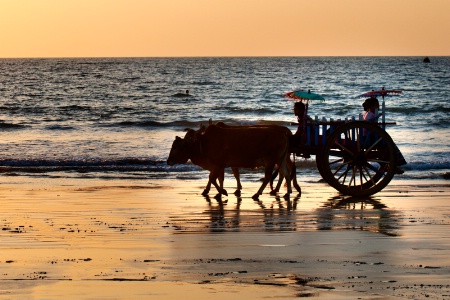 Traditional Cart at Ngwe Saung Beach 