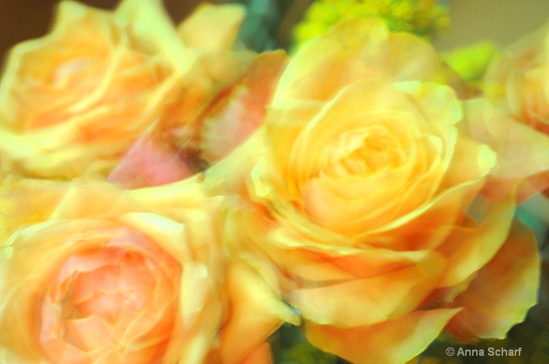 The beauty of roses 3 - ID: 12907389 © Anna Laska