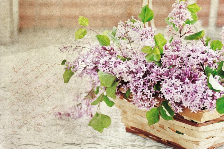 ~ Lilacs in a basket ~